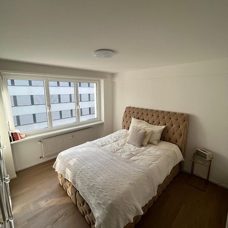 Best Located & Fully Equipped Apartment At Basel Sbb Main Station Ngoại thất bức ảnh