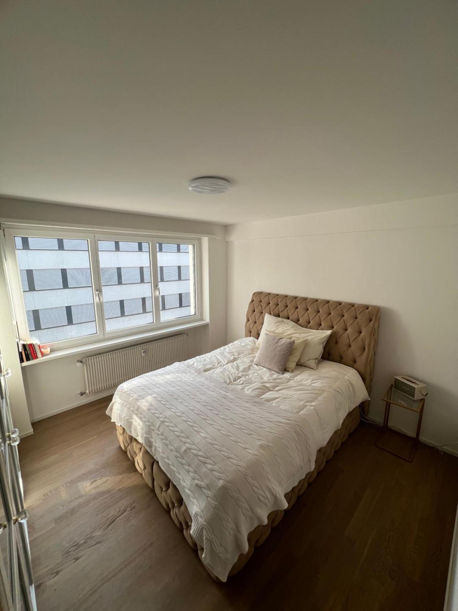 Best Located & Fully Equipped Apartment At Basel Sbb Main Station Ngoại thất bức ảnh
